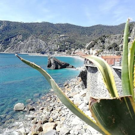 Nel Cuore Di Monterosso Cinque Terre Orto Di Ciack Monterosso al Mare Dış mekan fotoğraf