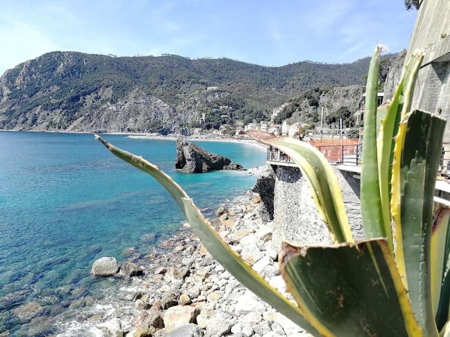 Nel Cuore Di Monterosso Cinque Terre Orto Di Ciack Monterosso al Mare Dış mekan fotoğraf